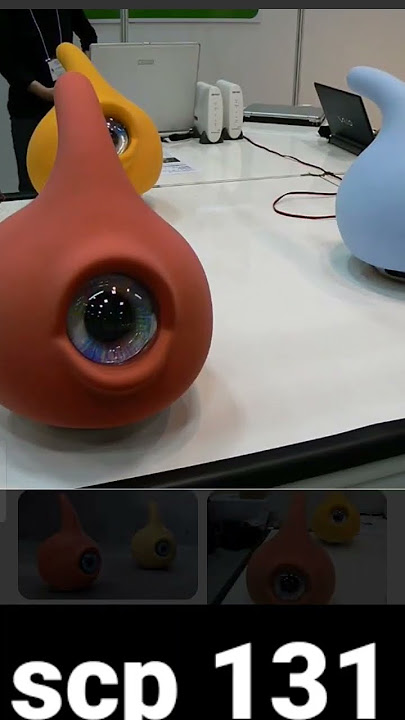 SCP 999 SCP 131 SCP 3000 SCP 682 SCP 100