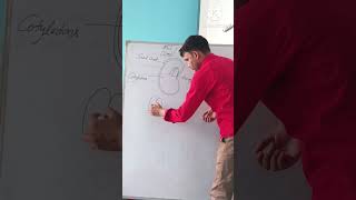 Structure of Seed Science class 6#tranding #viral ##funny by Rajeshwar Sir