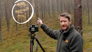 Autumn Landscape Photography w/Nikon Z8 by Thomas Heaton 82,129 views 5 months ago 18 minutes