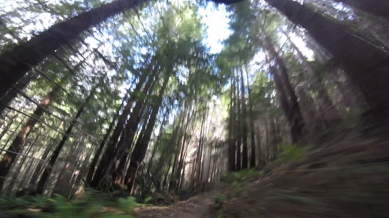 Purple Skirt (Raw) - Mendocino, CA