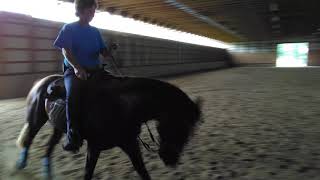 Spooks Guns Runner Rummy
