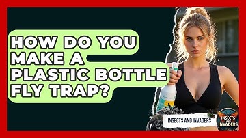 How Do You Make A Plastic Bottle Fly Trap? - Insects and Invaders