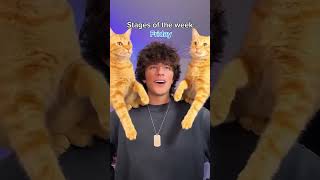 #funny #helpmemakethismakesense #haveitoldyoulatelythatiloveyou #relatable #mlb #shorts