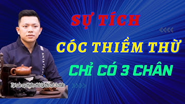 BÍ ẨN: Sự tích về Cóc Thiềm Thừ chỉ có 3 chân | Bạn đã biết chưa? | Đồ Gỗ Mạnh Sơn