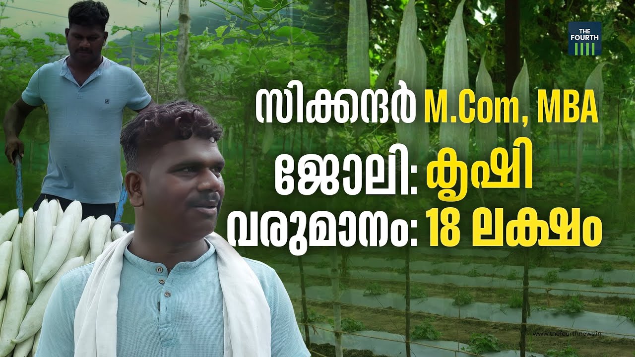 വിളയുന്നത് ലക്ഷം കിലോ പച്ചക്കറി, 18 ലക്ഷം വരുമാനം | Sikander | Vegetable Farming | Palakkad