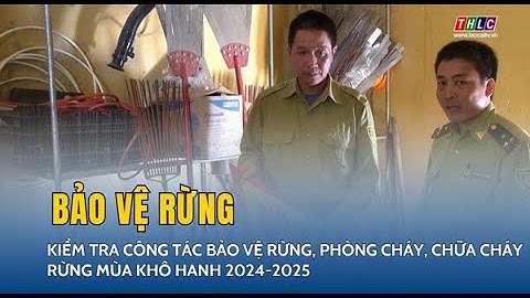 Kiểm tra công tác bảo vệ rừng, phòng cháy chữa cháy rừng mùa khô hanh 2024 - 2025 | THLC