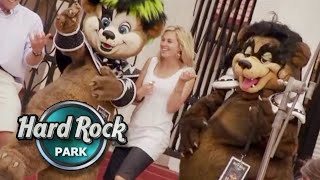 Hard Rock Park Origins A True Story of Rock & Roll Theme Park Media (2008)