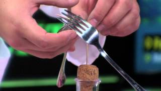 Snt I Festival Nauke - Emisija Mali Kućni Eksperimenti