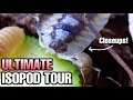 ISOPOD COLLECTION TOUR + FEEDING & WATERING (34 TYPES)