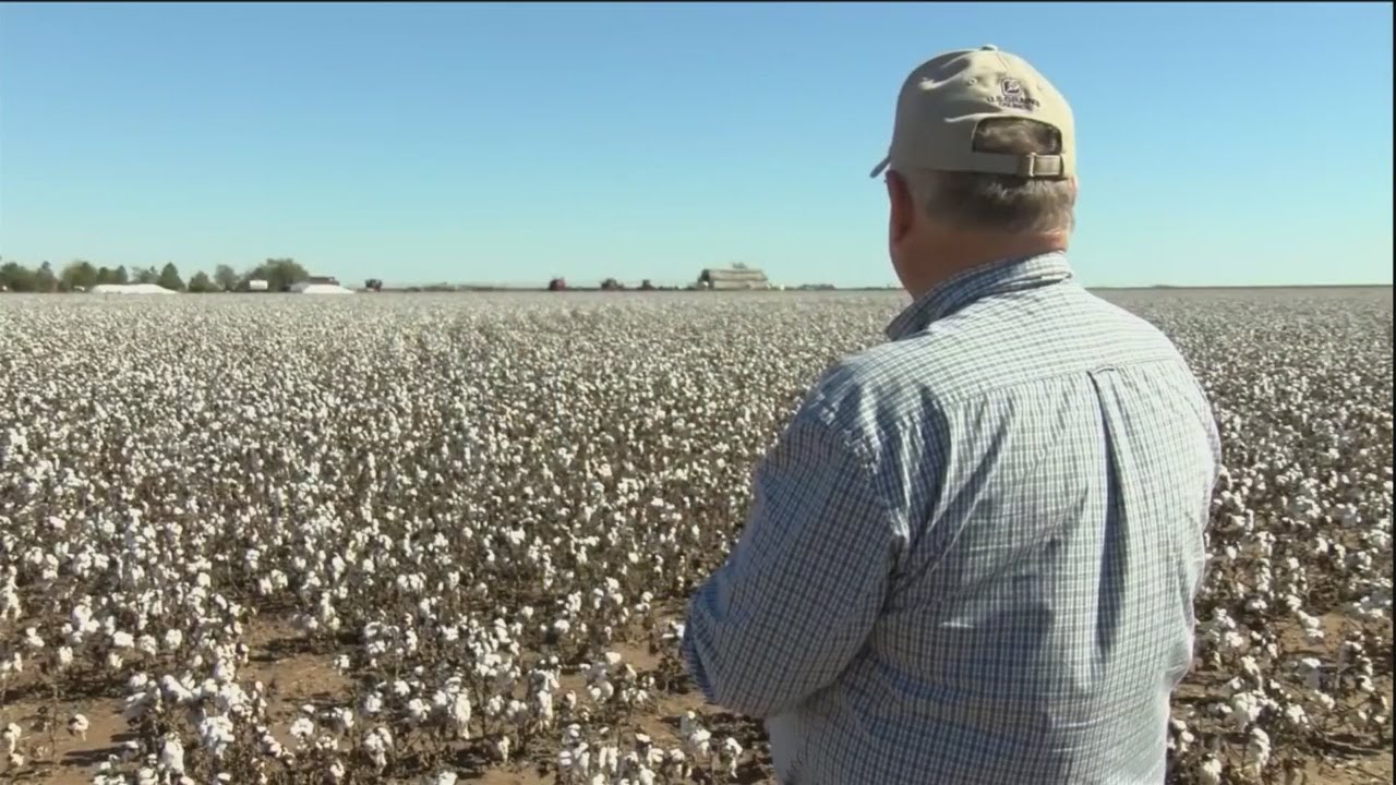 House passes farm bill, sending it to Trump's desk