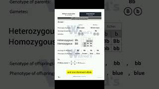 Biology Genes and Inheritance - Song:Blue Eyes by Yo Yo Honey Singh #biology #blueeyes #genes