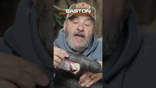 Easton Archery // Shot Placement On Bears