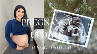 24 WEEKS PREGNANT UPDATE - MOM OF 2 - SOCIAL MEDIA GROWTH - WEEKLY