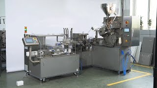 DXDD21 Tea Bag Packing Machine + DXHB20 Cartoning Machine