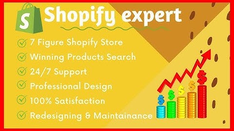 I will design impressive shopify website or shopify dropshipping store