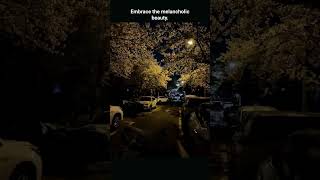 Lonely Cat's Tears by the Ocean | Dark Ambient Dreamscape #CrazyPress