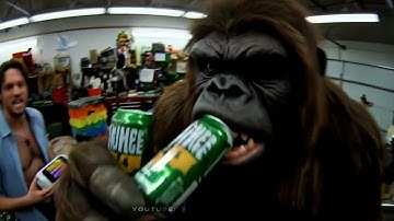 Bigfoot Hanging Out With The Avengers!! ∙ [Veo 3: Bigfoot AI Vlog ∙ Generative AI Parody]