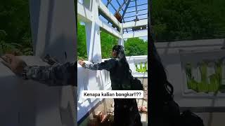 Viral Makam Kakek Habib Umar Di Bongkar Oleh Pwi