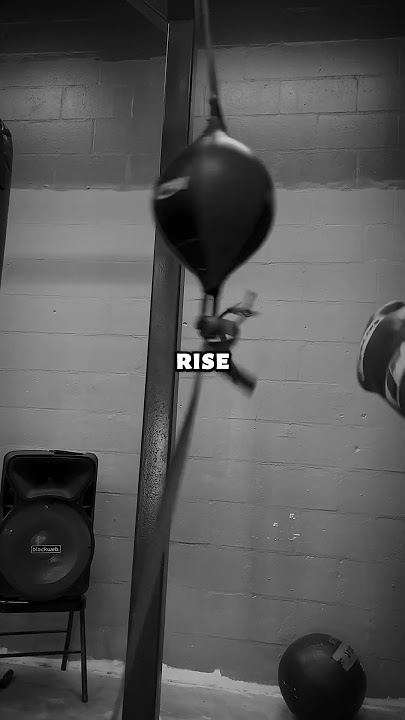TAZ - THE GOLDEN CHILD - STAY AT IT, STAY GOLDEN #gold #golden #child #orlandovipers #boxing