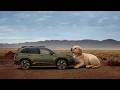 "BIG LOVE FOR THE SUBARU FORESTER HYBRID” :15 SUBARU | CONSUMER REPORTS