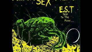 Alien Sex Fiend -  E.S.T. (Trip To The Moon) 1984