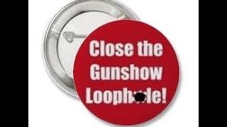 Gun Show Loophole WORKS!