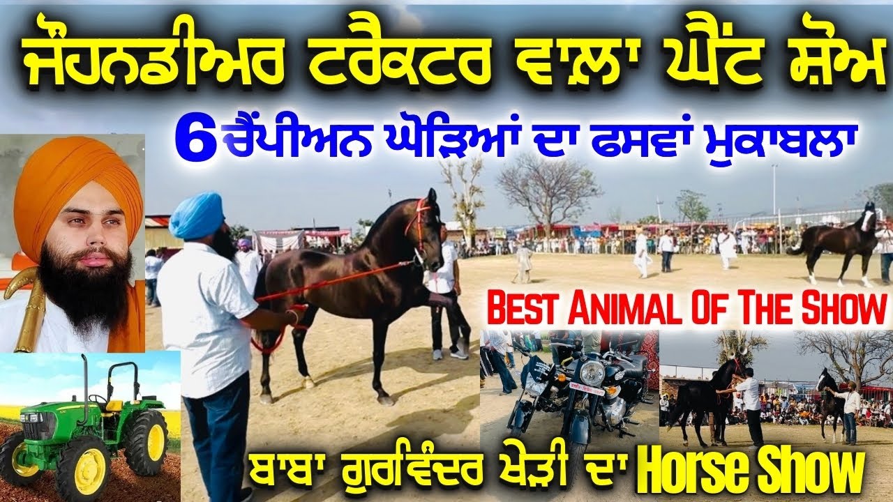 ਇੰਡੀਆ ਦਾ ਸਭ ਤੋਂ ਵੱਡਾ ਹੌਰਸ ਸ਼ੋਅ | Bhogiwal Horse Show 2026 | Best Animal of The Show | Rangle Punjabi