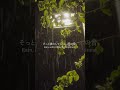 Night Rain Sounds #shorts #雨音 #自然音 #ASMR #rain #relaxingsounds #calm #rainsounds #soothing