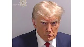Fulton County Sheriff's office releases Trump mug shot