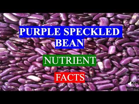 PURPLE SPECKLED BEAN  - MEDICAL AND  HEALTH BENEFITS AND NUTRIENTS FACTS