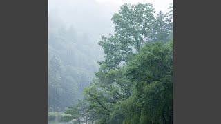 Waterside Metrics Tranquility