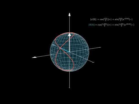 TIme Dependent Hamiltonian Animation, magnetic field in x-y plane