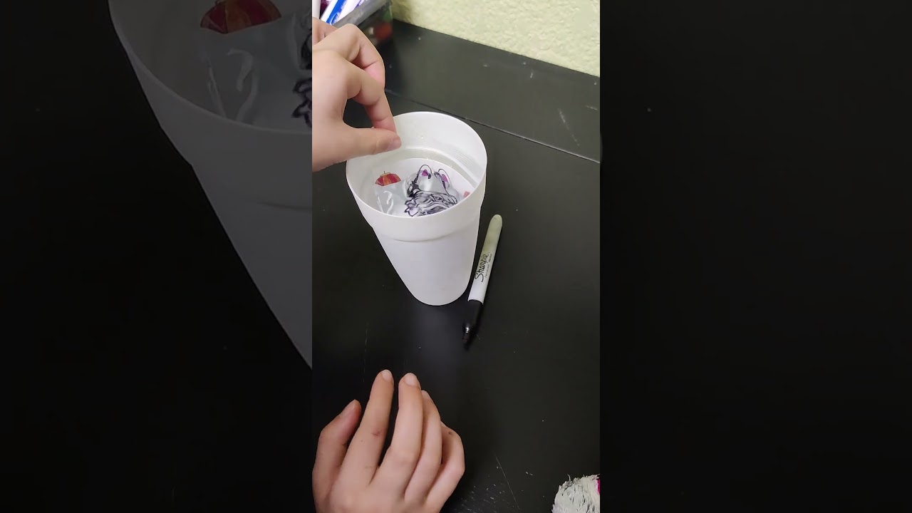 🌈 Can Colors Really Disappear? | Exploring the Science of Refraction 🔬💧