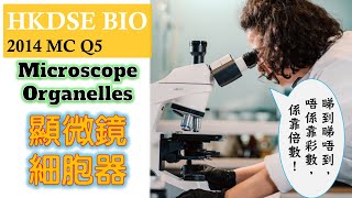 DSE Bio│HKDSE 2014 MC Q5│organelles 細胞器│microscope 顯微鏡│Faith Education {雙語Bilingual}