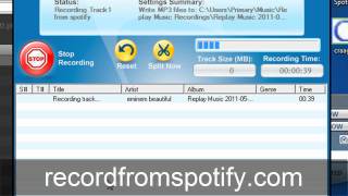 The Best Spotify Recorder - The Absolute Best'est Software for Recording screenshot 5