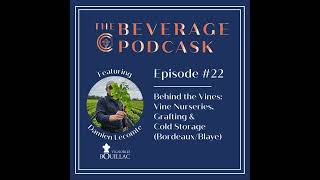 Ep #22 | Behind the Vines: Vine Nurseries, Grafting & Cold Storage (Bordeaux/Blaye)