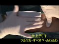 ブラジリアンワックス~Vライン~【福岡天神ブラジリアンワックスLucida】