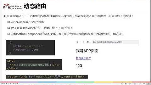Day 07 #01 掌握vue router 动态路由的使用