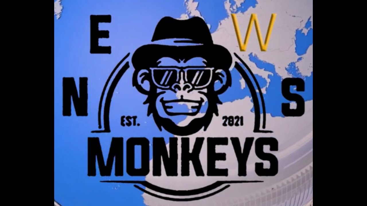 Monkeys News YouTube