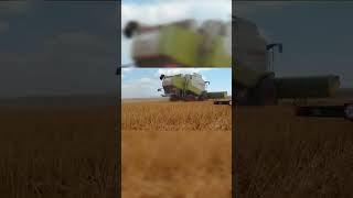 Очісуюча жатка "Слов'янка УАС-7" з комбайном CLAAS LEXION 550. Збирання озимого ячменю (2024)