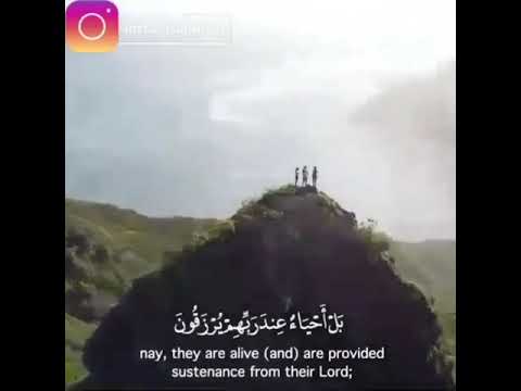 ماهر المعيقلي ولا تحسبن الذين قتلوا في سبيل الله أمواتا 