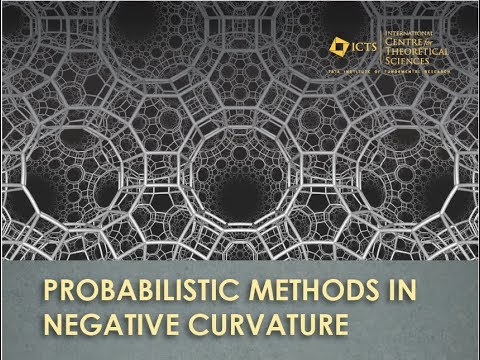 Entropies for negatively