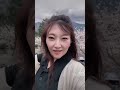 秦野の弘法山公園 #tiktok #shorts