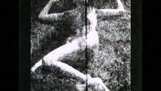 Die Form / Some Experiences With Shock / Full Album