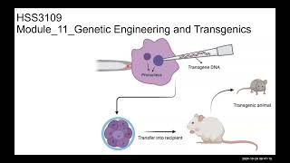 Module 11 Genetic Engineering Transgenics 1