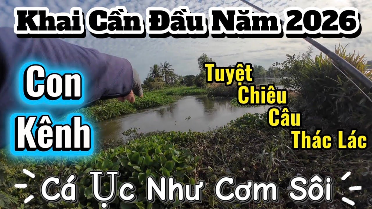 Kênh Nhỏ Nhiều Cá Tuyệt Chiêu Nhấp Thác Lác Khai Cần Đầu Năm 2026 Câu Nhấp Câu Nhóng (Video 45)