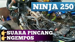 Pilihan Busi terbaik untuk Ninja 250FI  || Busi BRISK dan NGK G-Power bagus mana?