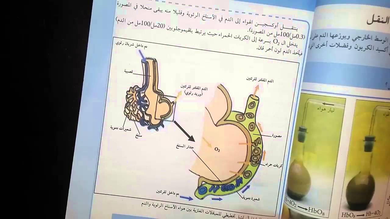 تصحيح اخطاء الكتاب المدرسي للسنة الرابعة متوسط