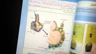 تصحيح اخطاء الكتاب المدرسي للسنة الرابعة متوسط