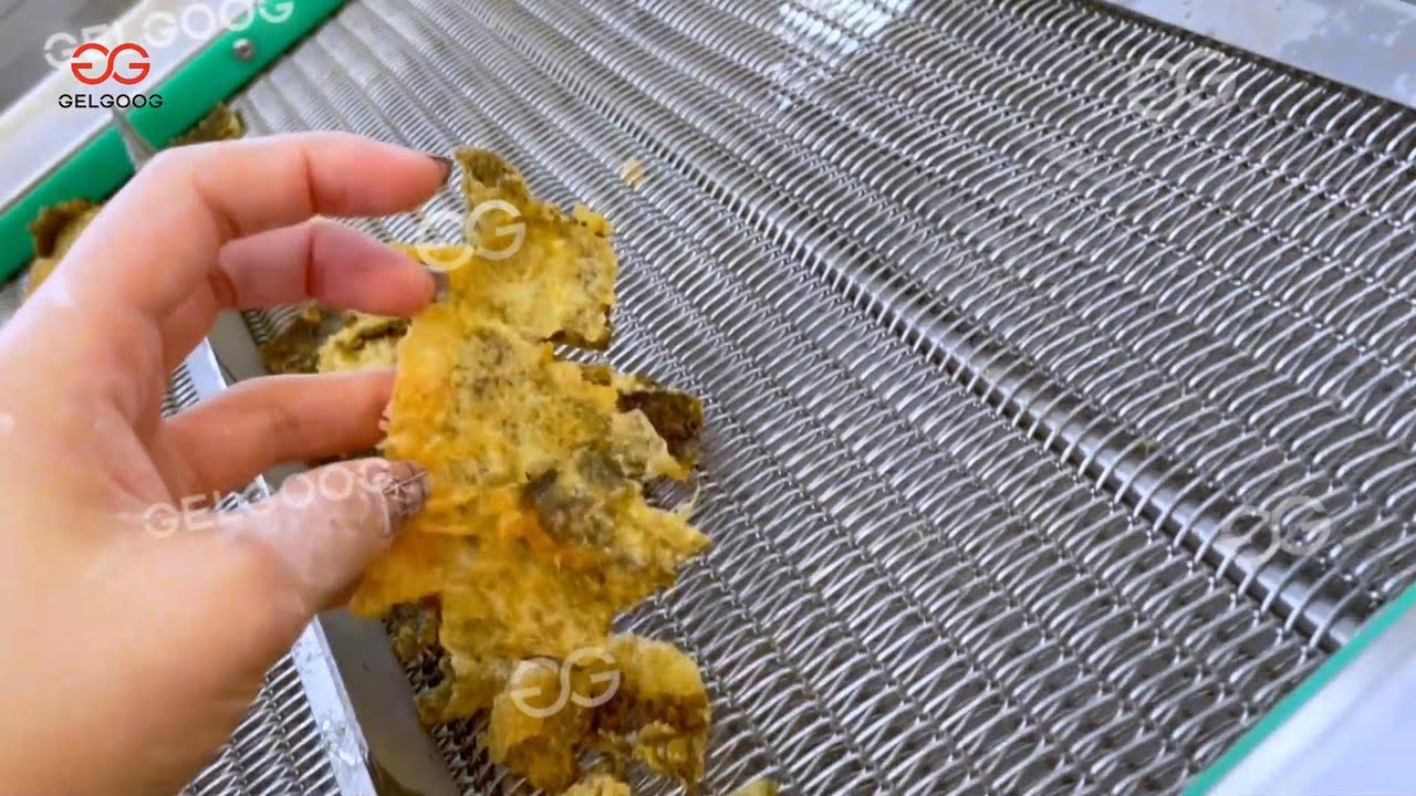 Fried Seaweed Production Line Trial | Industrial Nori Frying Machine